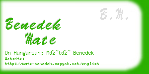 benedek mate business card